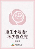 重生小娇妻：沐少慢点宠