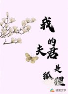 我的夫君是狐狸