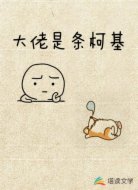 大佬是条柯基