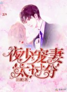 夜少宠妻太过分