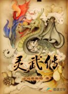 灵武传