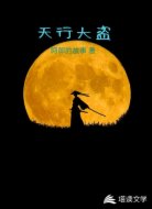 天行大盗