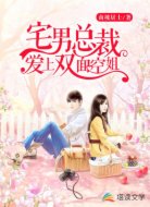 宅男總裁愛(ài)上雙面空姐