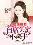 逃跑娇妻:首席买定不离手