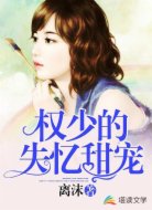 权少的失忆甜宠