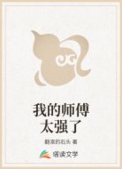 我的师傅太强了