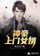 神豪上门女婿