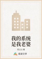 我的系统是我老婆