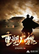 重塑大魏