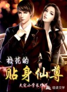 校花的贴身仙尊