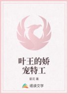 叶王的娇宠特工