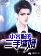 小客服的二手渣婿