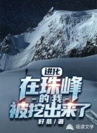 进化:在珠峰的我,被挖出来了