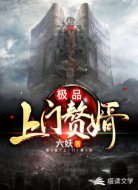 极品上门赘婿