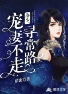 洛少,宠妻不走寻常路