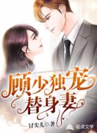 顾少独宠替身妻