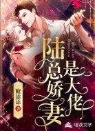 陆总娇妻是大佬