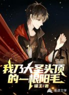 我乃大圣头顶的一根阳毛