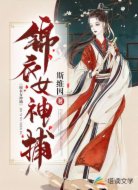 锦衣女神捕
