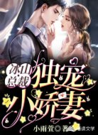 冰山总裁：独宠小娇妻