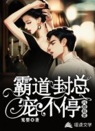 闪婚萌妻：霸道封总宠不停