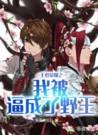 王者荣耀之我被逼成了野王