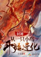 封神:从一只小鸟开始进化