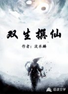 双生撰仙