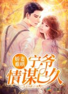 娇妻难哄:宁爷情谋已久