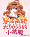 书名