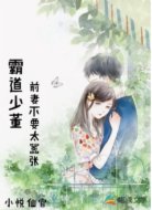 霸道少董：前妻不要太嚣张
