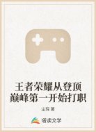 王者荣耀从登顶巅峰第一开始打职