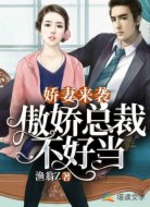 娇妻来袭:傲娇总裁太难当