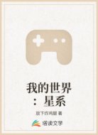 我的世界：星系