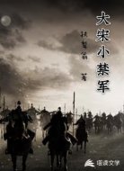 大宋小禁军