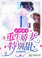 豪婚独宠:重生娇妻特别甜