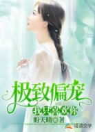 极致偏宠，我只喜欢你