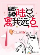 替身情人：陆总离我远点