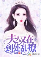 夫人又在到处乱撩
