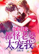 娇妻似火:都怪老婆太宠我