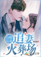 打脸总裁追妻火葬场