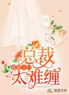 惹爱上门,总裁太难缠