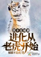我不是橘猫!进化从老虎开始