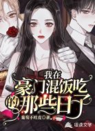 我在豪门混饭吃的那些日子
