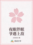 夜眠伴眠爷遇上敌