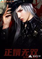 正婿无双