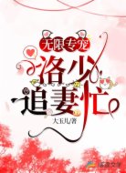 无限专宠:洛少追妻忙