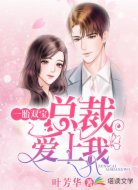 一胎双宝,总裁爱上我