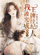 穿书之我被宠成王牌经纪人