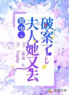 贺少,夫人她又去破案了